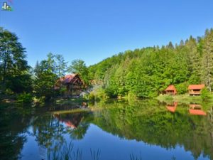 Спа-готель “Озеро Віта” в Карпатах: сімейний відпочинок з басейном