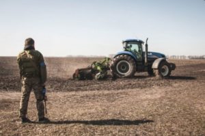В Україні стрімко зростає ціна на сільськогосподарську землю