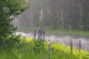 У середу в Україні дощі у більшості регіонів, вдень до +33°С