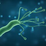 Сучасні методи тестування резистентності Helicobacter pylori