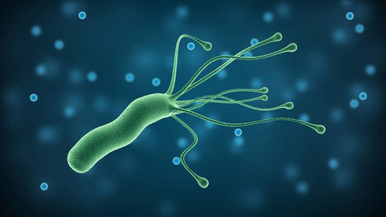 Сучасні методи тестування резистентності Helicobacter pylori