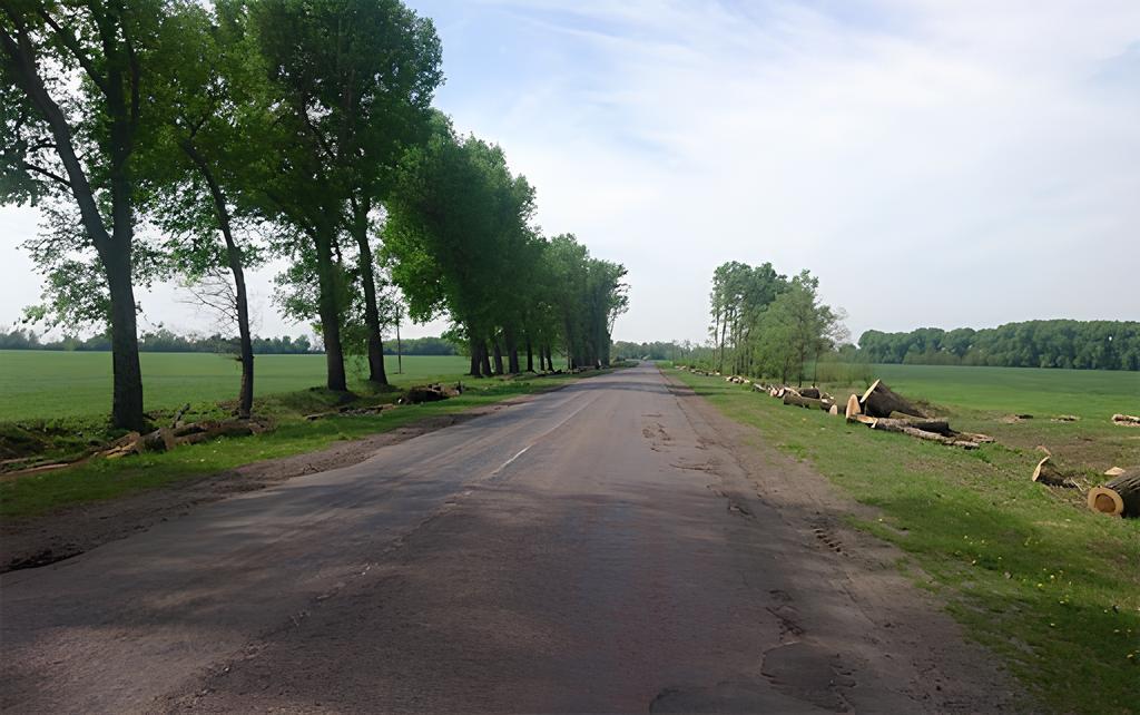 Фото: agravery.com. Фото: agravery.com.