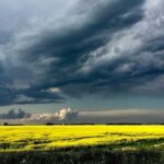 У середу дощі в Україні не йтимуть лише на сході